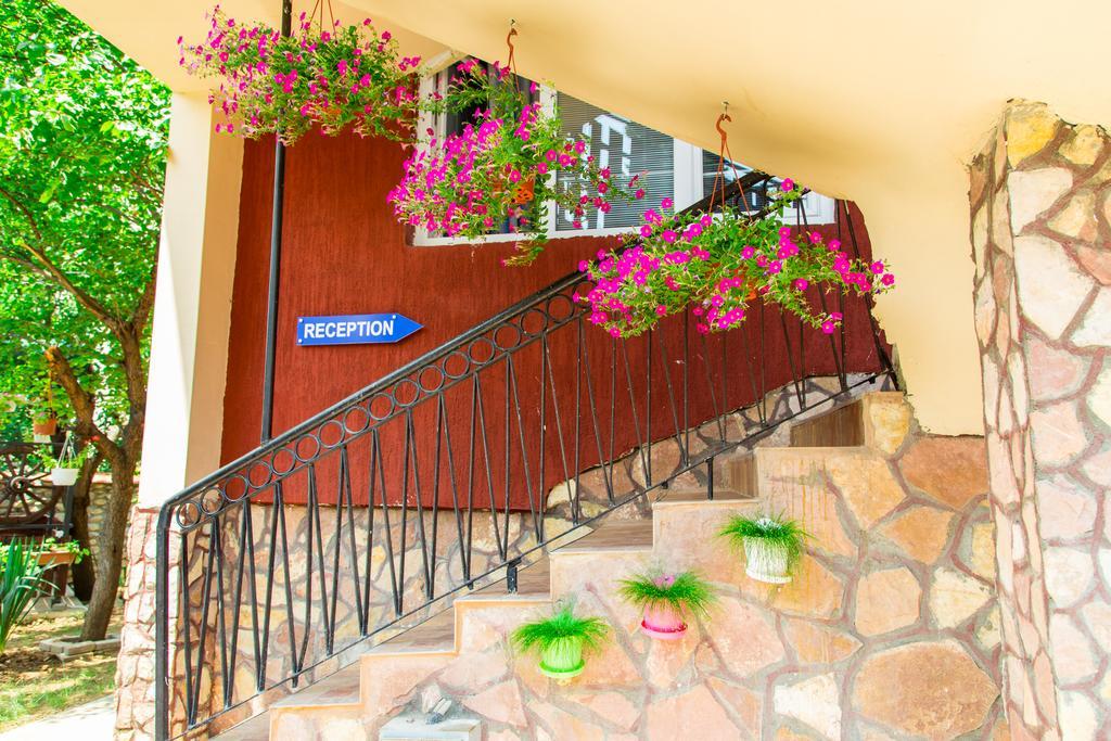 The Comfy Hostel Skopje Exterior photo
